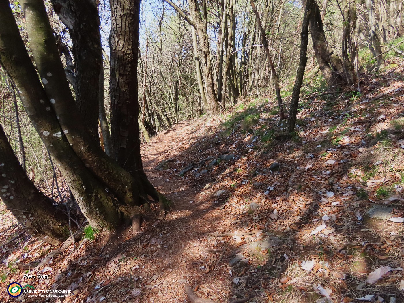 39 Sul sentiero 594 per breve tratto.JPG